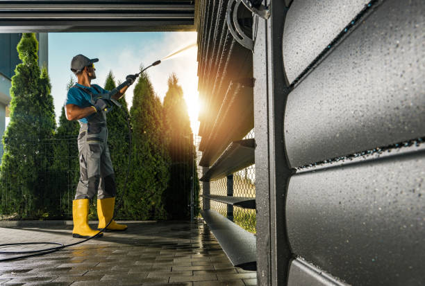 Best Solar Panel Cleaning  in Umatilla, FL